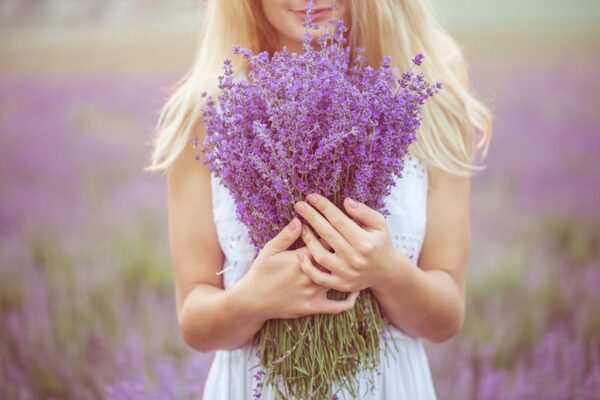 lavender scent
